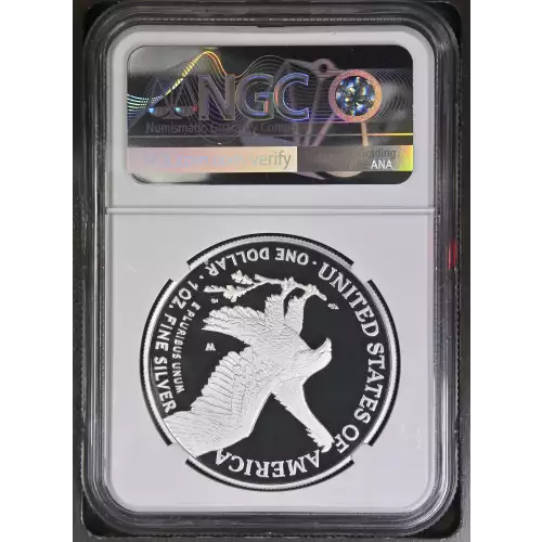 2023 W Early Releases ULTRA CAMEO (3)