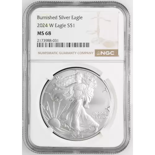 2024 W Burnished Silver Eagle (2)