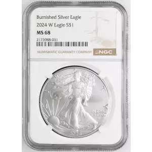 2024 W Burnished Silver Eagle (2)