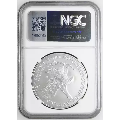 2024 W Burnished Silver Eagle (3)