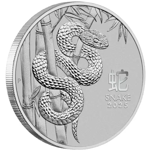 2025 1 oz Australian Platinum Lunar Snake Coin - Presidential Metals ...