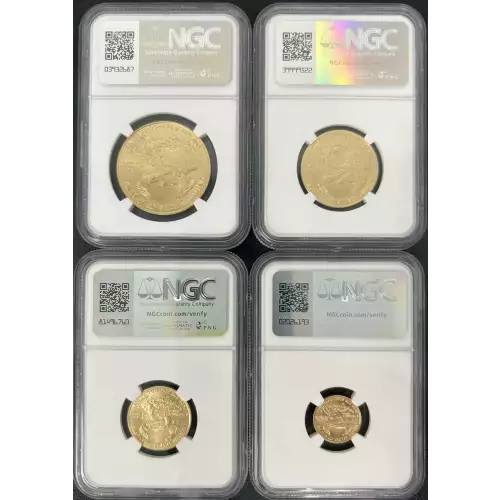 Burnished American Gold Eagle  4-Coin Set ($50, $25, $10, $5) (2)